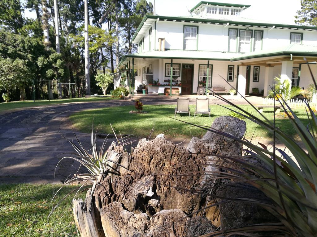 Casa Del Cafe-Familiar Hotel Heredia Kültér fotó